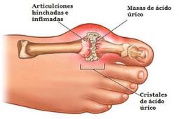 95860afc-99a6-48a4-829b-e5b2a1c8d7e8_1024_512