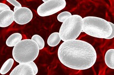 terapia-leucemia-globulos-blancos