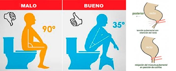 aprende-a-como-ir-al-bac3b1o-de-la-forma-correcta