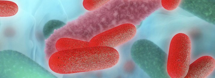 main_food-borne-illnesses-banner