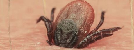 1564067514_533443_1564068523_noticia_normal