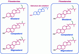 fitoesteroles-fitoestanoles
