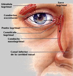 lagrimal