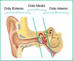 9-cosas-que-no-sabias-de-tus-oidos